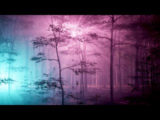 Mysterious Forest 4K Ultra HD