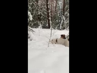 Видео от Натальи Пушкаревой