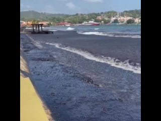 Разлив нефти в Тринидад и Тобаго.