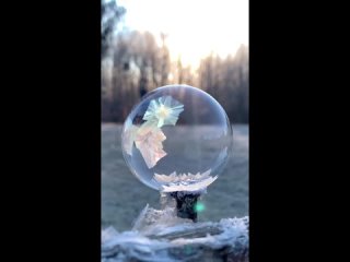 Природа самый лучший художник. Только посмотрите как она рисует снежинки на водном пузыре. Завораживает, правда?