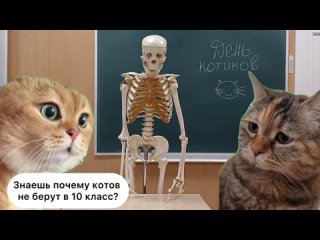 Команда КВН “Опять Двойка“, г. Ярославль