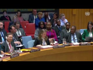 Из выступления заместителя Постоянного представителя М.В.Заболоцкой в ходе заседания Совета Безопасности ООН по вопросу о сексуа