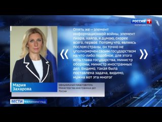 Мария Захарова прокомментировала угрозу литовского посла в Швеции о том, что Калининград будет нейтрализован