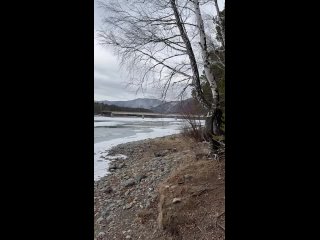 🧊Кромка льда на реке Абакан в Абазе начала крошиться, сообщает глава муниципалитета Валентина Филимонова в своих соцсетях
