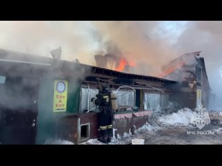 Пожар в приюте для животных в Южно-Сахалинске