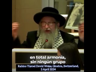 “El Sionismo es satánico“, rabino Yisroel Dovid Weiss