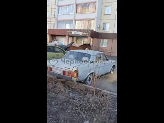 По улицам Магнитогорска накануне промчался табун лошадей! Очевидцы сняли «пробег» на видео и выложили в соцсети