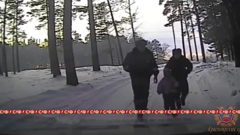 Сотрудники ГИБДД спасли замерзающую девочку, которая одна