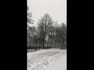Видео от Натальи Снеговой