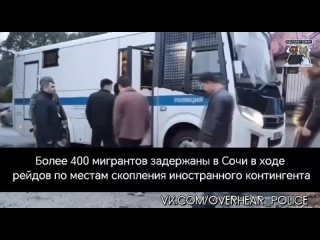 Более 400 мигрантов задержаны в Сочи в ходе рейдов по местам скопления иностранного контингента