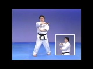 Enciclopédia do Karate Kyokushin - Kancho Shokei Matsui (capitulado na descrição)