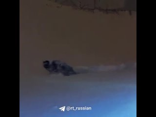 «Собака просто утонула там!»  Огромные сугробы в Южно-Сахалинске, где ранее из-за метели объявили режим чрезвычайной ситуации.