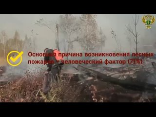 Видео от Администрация Завитинского муниципального округа