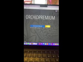 Live: Orchid Premium | орхидеи из Азии