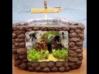 Оригинальный аквариум