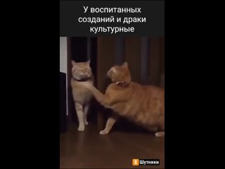 Отхлестала по щекам... Интеллигенция)))