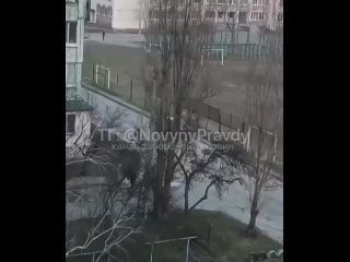 The Ukrainian authorities have explained everything - a man kicked on the street in Poltava was beaten not by Ukrainian milit