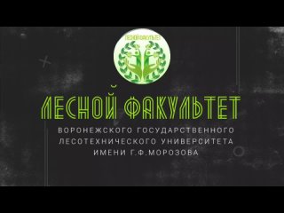 Видео-визитка. Лесной факультет