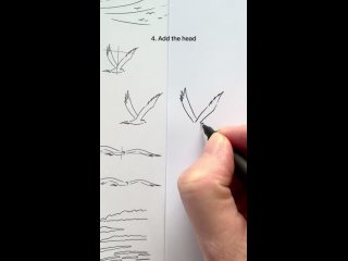 Рисуем птицу