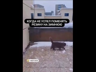 Не успел сменить резину