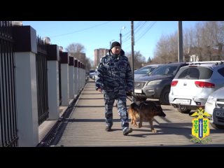 Липецкие полицейские проводили на пенсию розыскную овчарку Магната