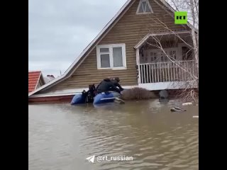 Двое мужчин из Новотроицка спасли 19 кошек и четырёх собак в орском микрорайоне Форштадт