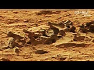 На Марсе обнаружили чей-то скелет