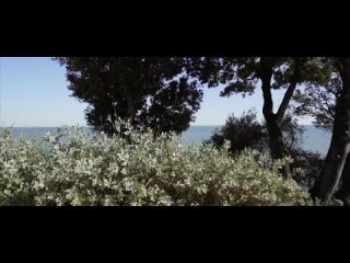 Luna Okko - [] - E05 - SPRING BLOWJOB - LUNAS JOURNEY - 1080p
