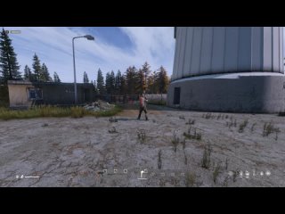 DayZ  -