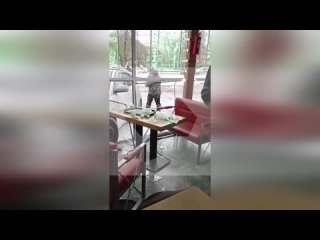 Иномарка случайно влетела в витрину кафе в Ленобласти