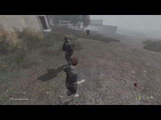 DayZ Random moments #774