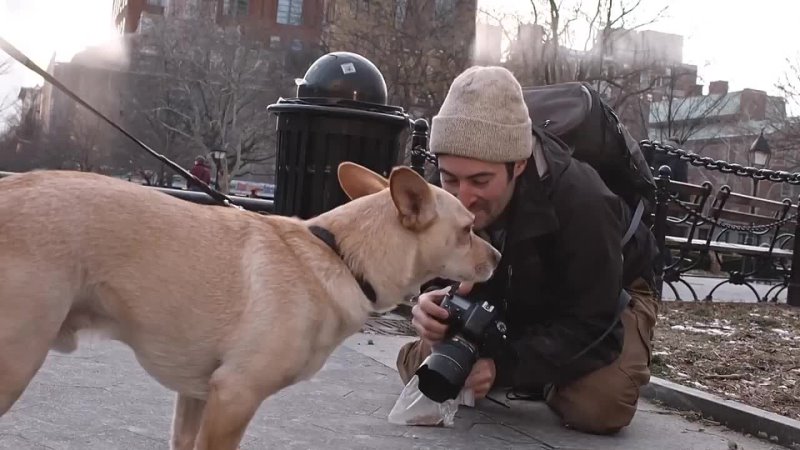 A Day in the Life of The Dogist, Pet Photographer Extraordinaire Short