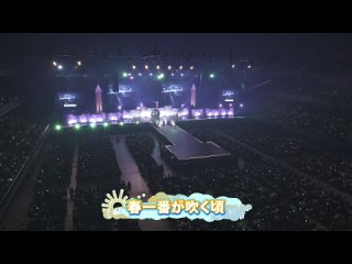 240317 1230 AKB48 Haru Concert 2024 in Pia Arena MM Mirai ga Me ni Shimiru