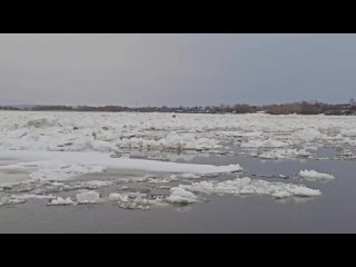Ледоход на Волге в Зеленодольском районе РТ
