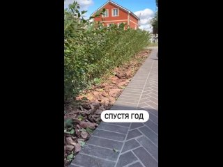 Видео от Дачный помощник - дача | сад | огород