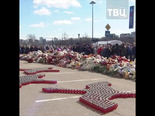 Прошло 9 дней: Россия скорбит по жертвам трагедии в «Крокусе»

У стихийного мемориала возле концертного зала проходит панихида.
