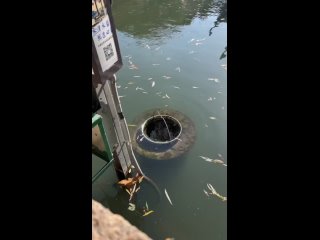 Смотрите какая водяная урна для очистки пруда где-то в Японии!