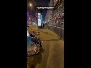 Улицы городов ЕС, Франция, Париж перед олимпиадой: толпы крыс бегают перед прохожими на оживлённом тротуаре