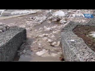 В Оренбурге на Урале заметили ондатру 🦫