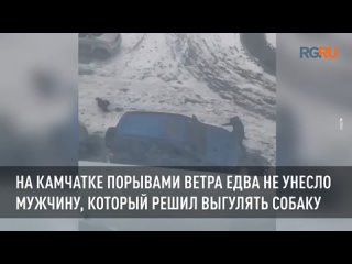 На Камчатке порывами ветра едва не унесло мужчину, который решил выгулять собаку