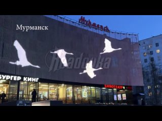 Города по стране один за другим присоединяются к акции Журавли в честь жертв кровавого теракта в Крокус Сити Холле