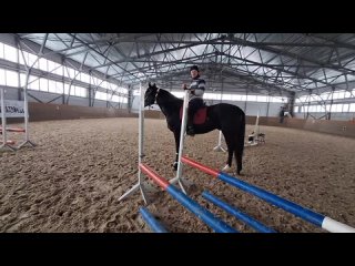 Видео от “ЭDOMA“ Тракененские лошади