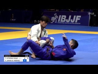 fin rooster THALISON SOARES vs FRANCISCO ANDRADE #IBJJFEURO2024