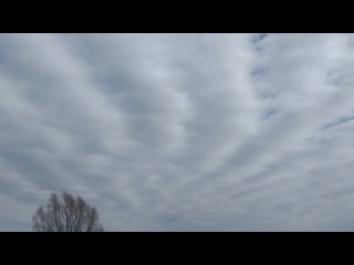 #природа #небо #облака #март #таймлапс     Максим Мурзин