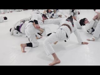 Rafael Mendes Sparring Brown Belt ()