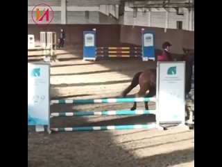 Российскую всадницу отменили за избиение лошади