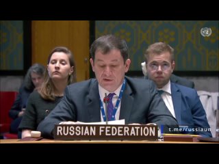 🇷🇺🇺🇳Из выступления Первого заместителя Постоянного представителя Д.А.Полянского на заседании Совета Безопасности ООН по Йемену