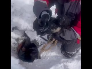 В Самаре спасли щенка, провалившегося в канализацию