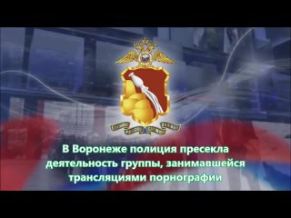 В Воронеже полиция пресекла деятельность группы, занимавшейся трансляциями порнографии