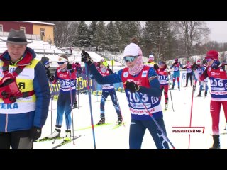 В Демино прошли спортивные соревнования